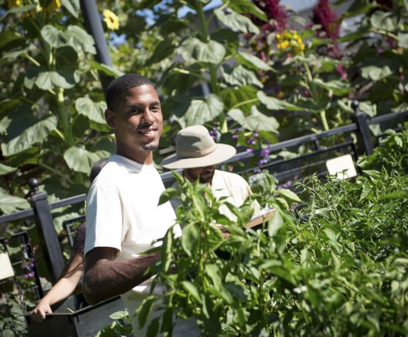student picking vegetables